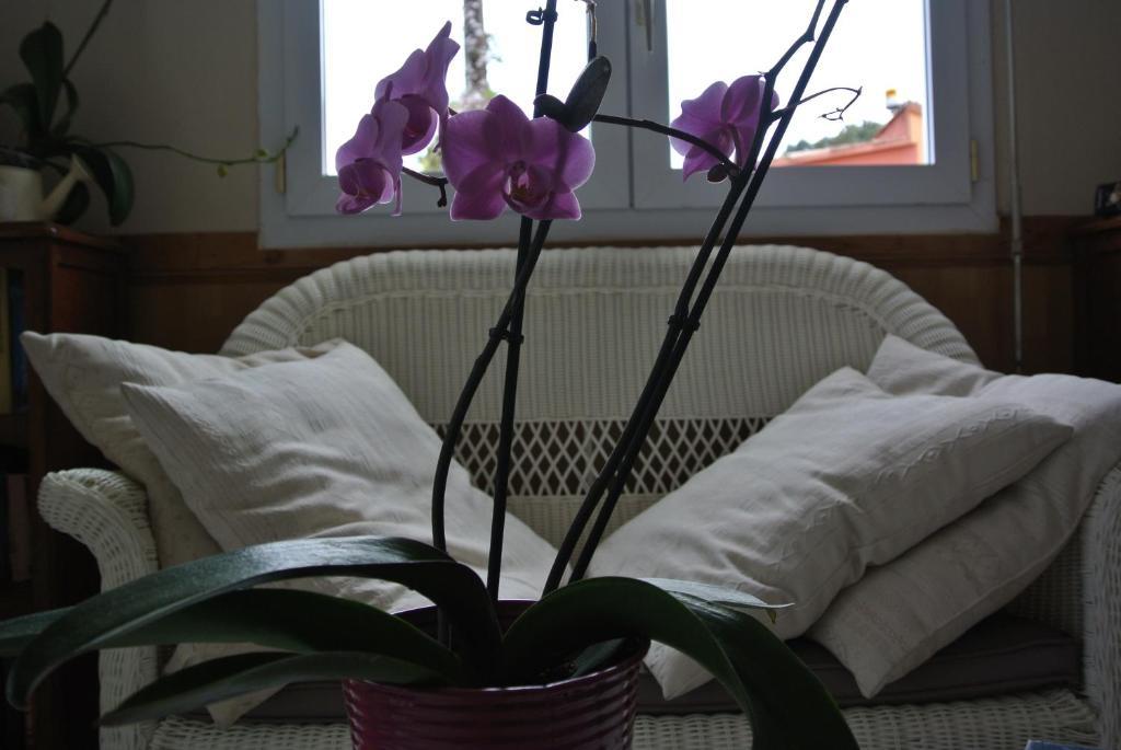 Hotel Residence San Pieru Tarcu Rum bild