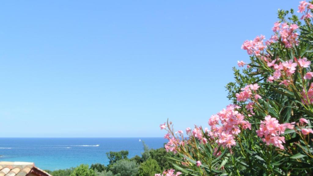 Hotel Residence San Pieru Tarcu Rum bild